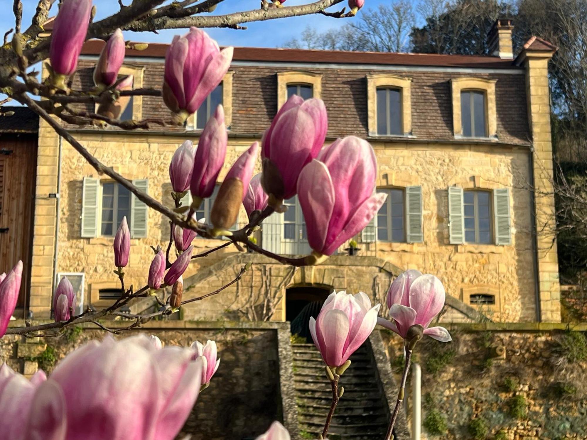 Le Clos De L'Ane Dentelle 베작 외부 사진